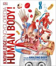Книга Knowledge Encyclopedia Human Body!