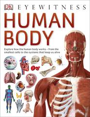 Енциклопедія Human Body