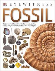 Энциклопедия Eyewitness Fossil