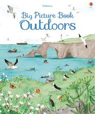 Книга Big Picture Book Outdoors