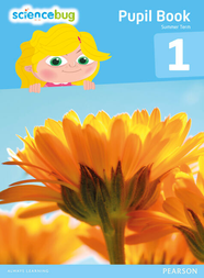 Підручник Science Bug Pupil Book Year 1