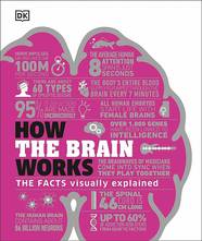 Книга How the Brain Works