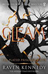 Книга Gleam (Book 3)