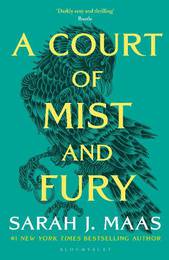 Книга A Court of Mist and Fury (Book 2)