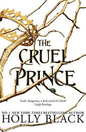 The Cruel Prince (Book 1)