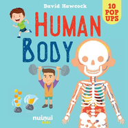 Книга Amazing Pop-Ups: Human Body