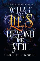 Книга What Lies Beyond the Veil (Book 1)