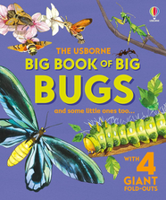 Книга Big Book of Big Bugs