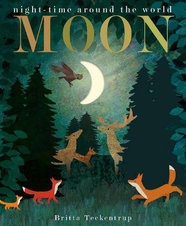 Книга Moon: Night-time around the World