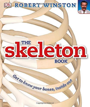 Книга The Skeleton Book