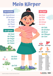German Vocabulary Poster: “My Body” (Mein Körper)