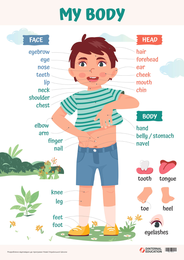 English Vocabulary Poster: “My Body”
