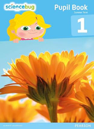 Учебник Science Bug Pupil Book Year 1 - УЦІНКА