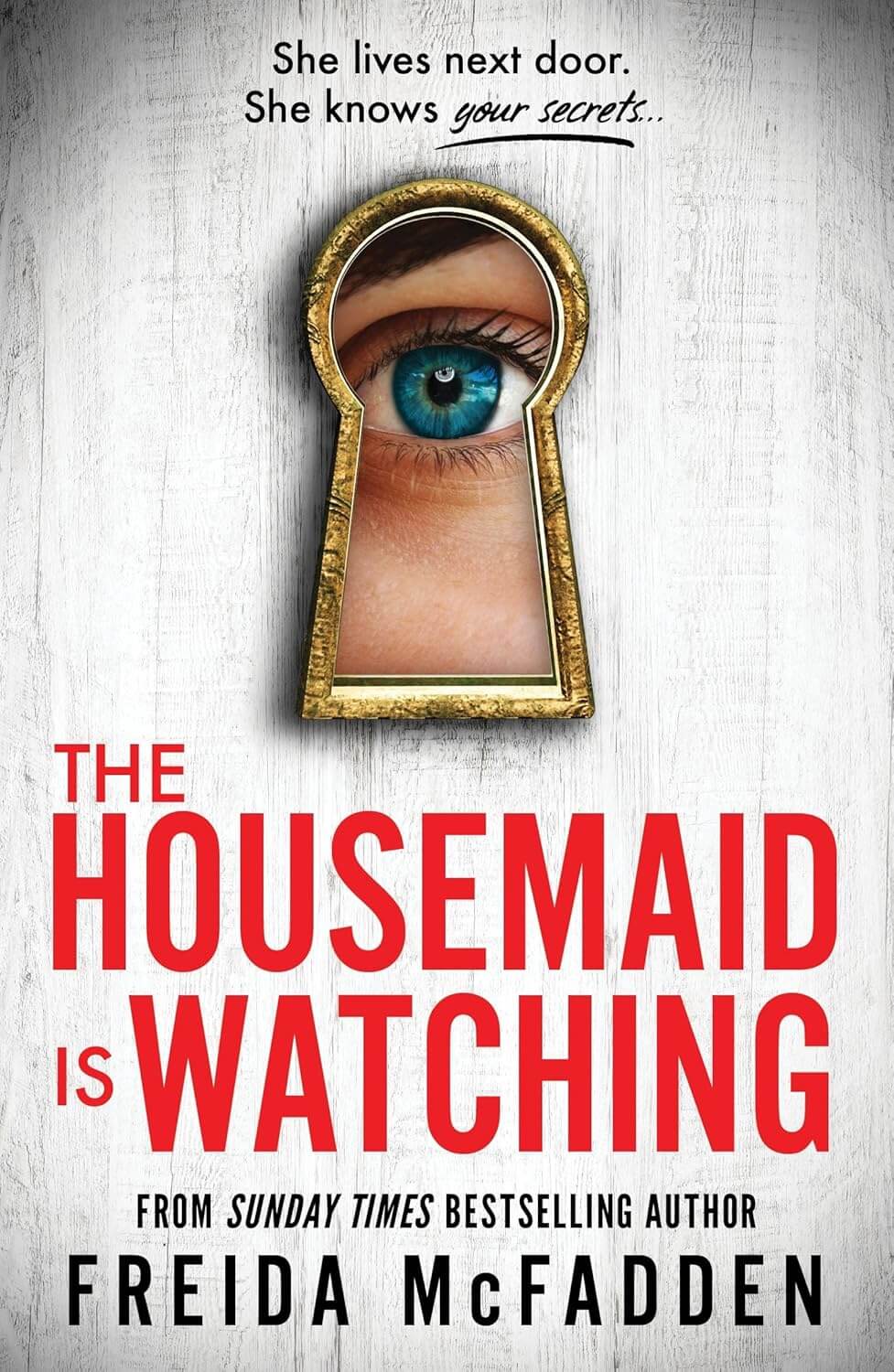 The Housemaid is Watching (Book 3)