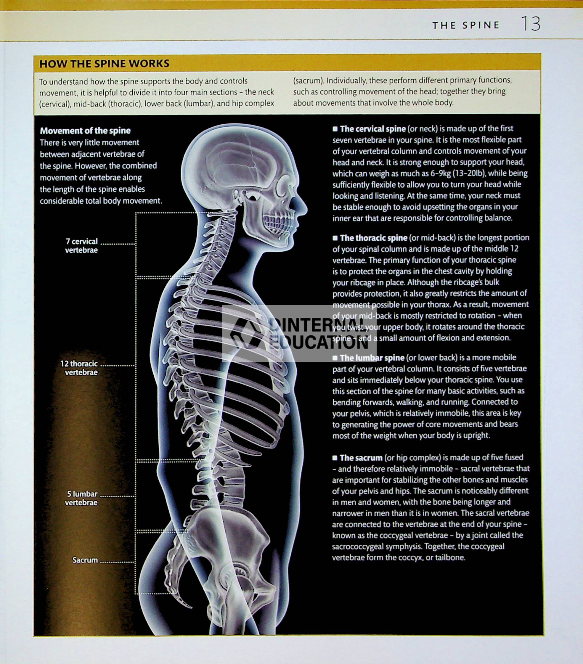 Core Strength Training DK 2013 Health & Lifestyle in English