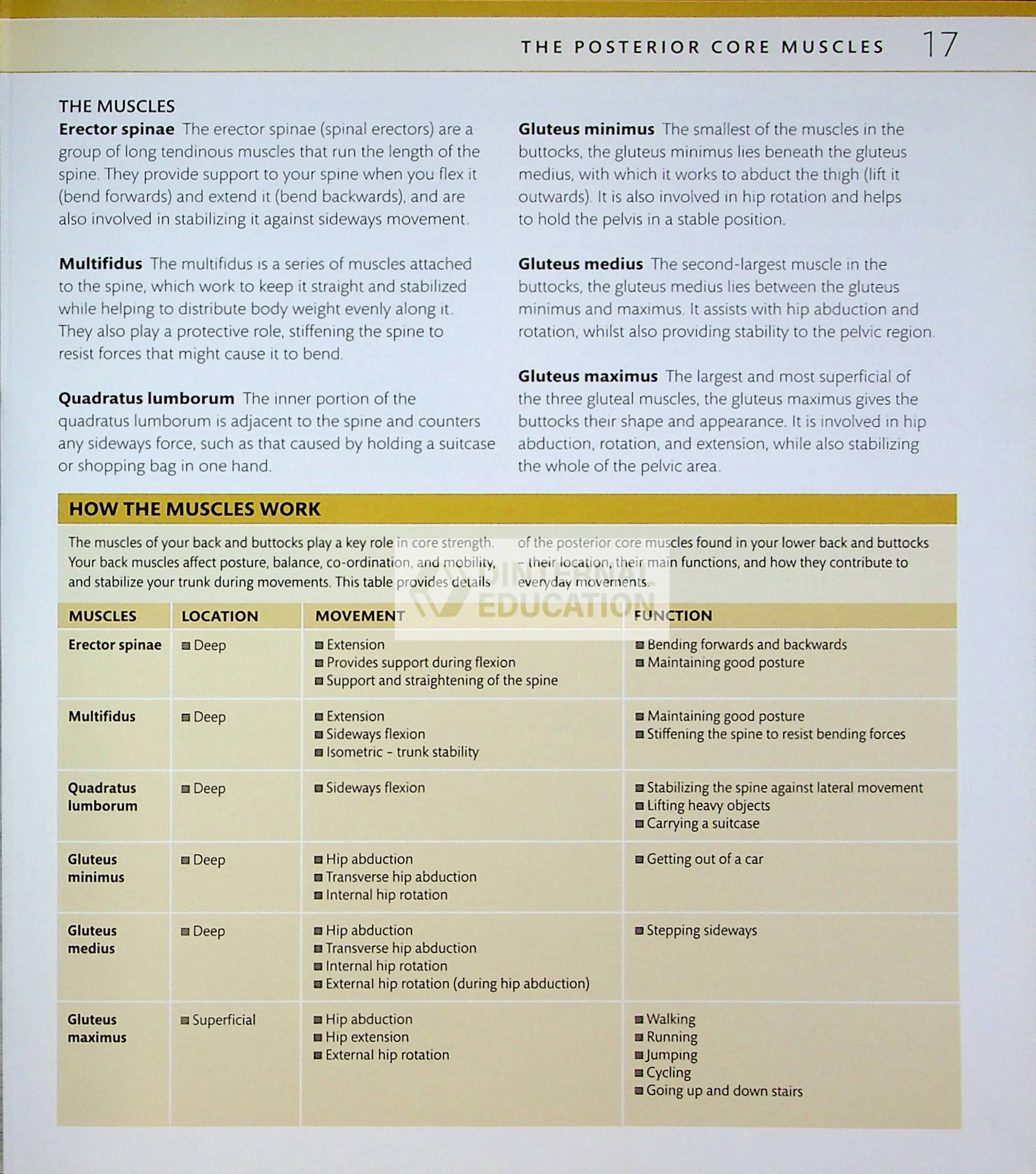 Книга Core Strength Training DK 2013 Здоров'я та фітнес англійською